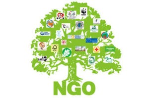Read more about the article Ngo Registration Consultant In Munger (Monghyr)