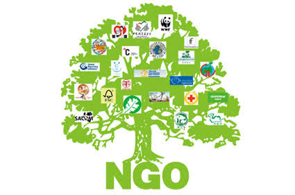 You are currently viewing Ngo Registration Consultant In Munger (Monghyr)