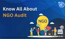 20 Reasons why Ngo audit is important