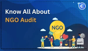 Read more about the article 20 Reasons why Ngo audit is important